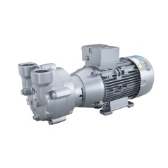 Bombas de vacío de anillo líquido L-BV2 Elmo Rietschle