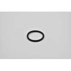 7062080000 Elmo Rietschle