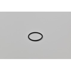 7062630000 Elmo Rietschle